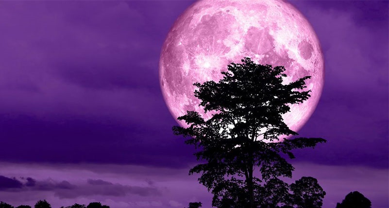 Photographers, get your cameras ready! Super Pink Moon is coming soon! 